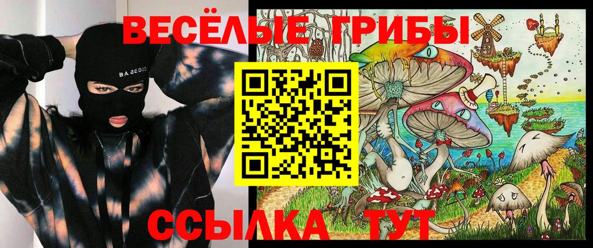 Краснодар  Галлюциногенные грибы MAGIC MUSHROOMS  цены   Галлюциногенные грибы мицелий  Вход с VPN 